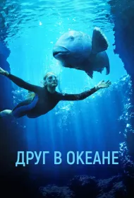 Друг в океане (2023)