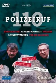 Телефон полиции — 110 (1971)